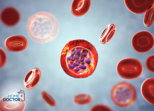 Leukocyty i erytrocyty w moczu 5